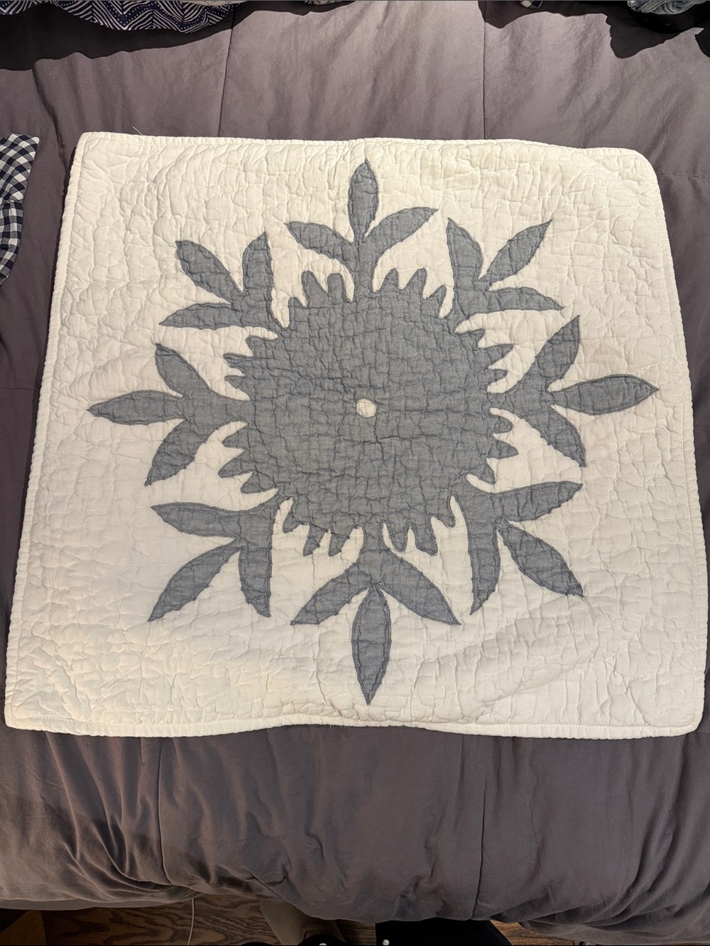 Pottery Barn Embroidered Shams